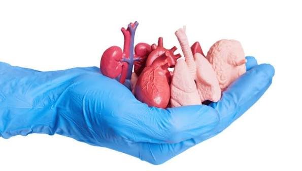 Organ transplant